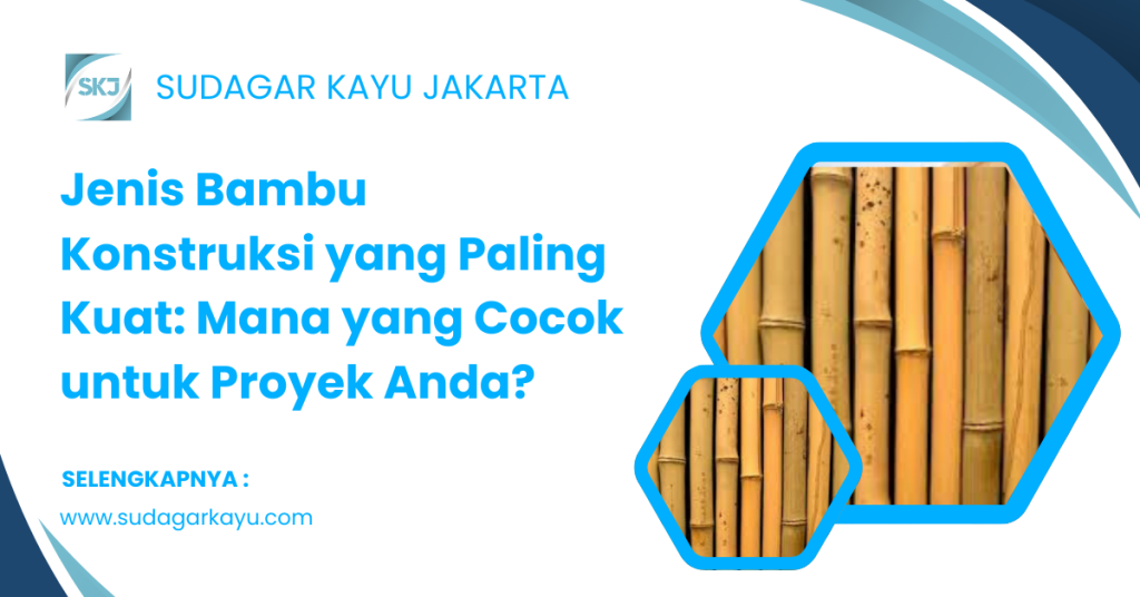 Jenis Bambu Konstruksi yang Paling Kuat_ Mana yang Cocok untuk Proyek Anda