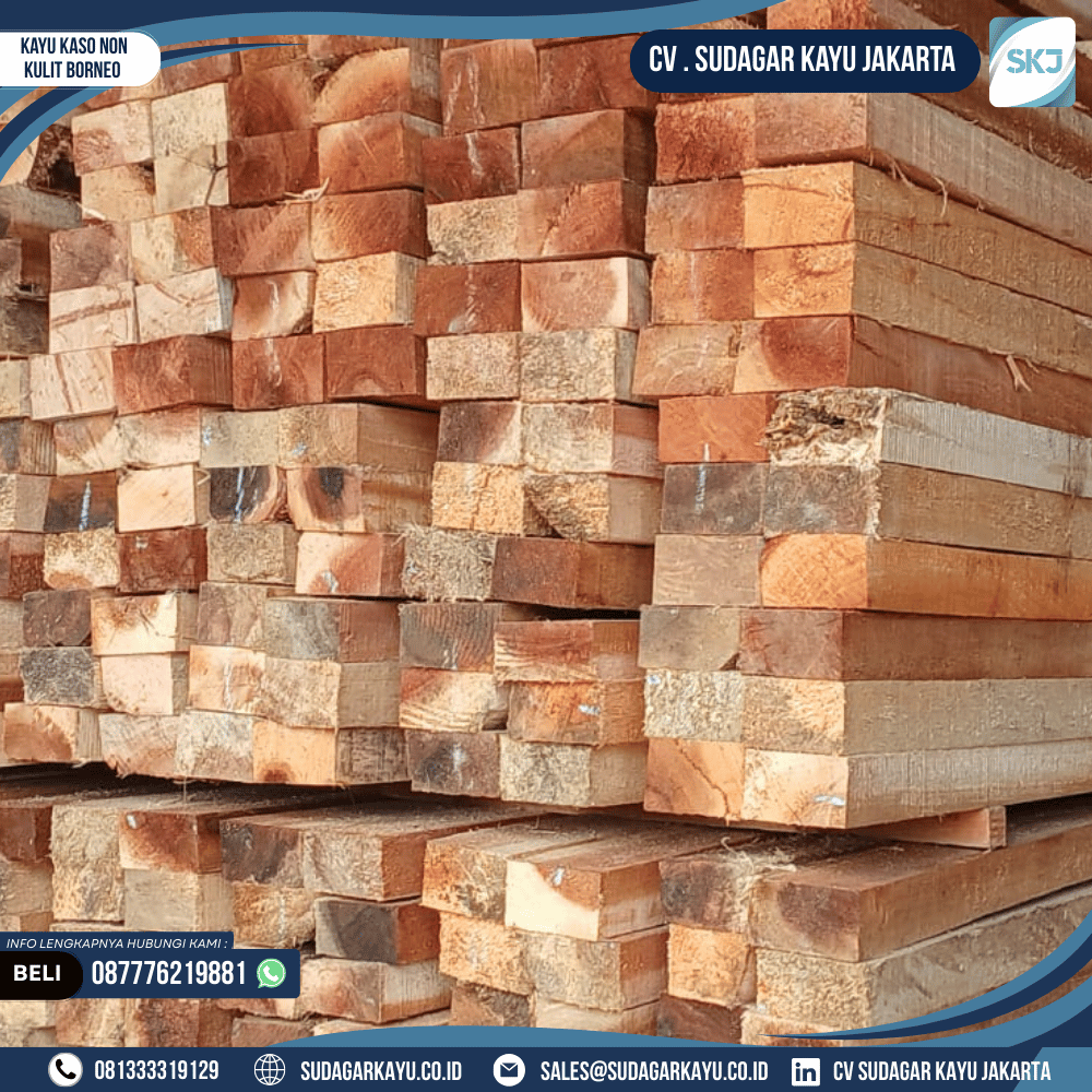 Kayu Kaso Non Kulit Borneo Lokal - Gambar 9