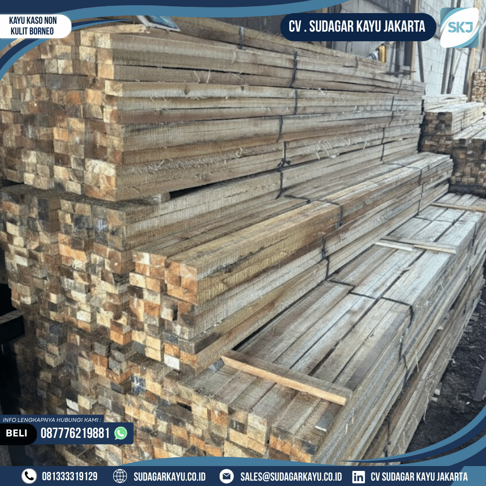 Kayu Kaso Non Kulit Borneo Lokal - Gambar 4