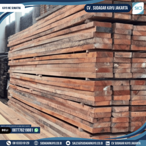 Kayu MC sumatra