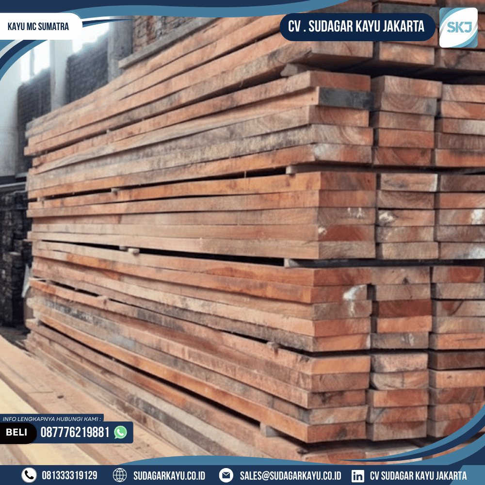 Kayu MC sumatra