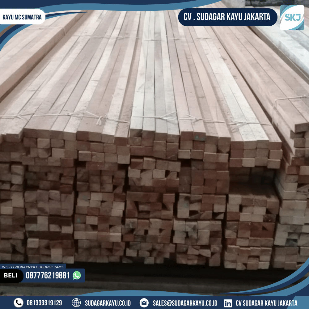 Kayu MC Sumatra - Gambar 2