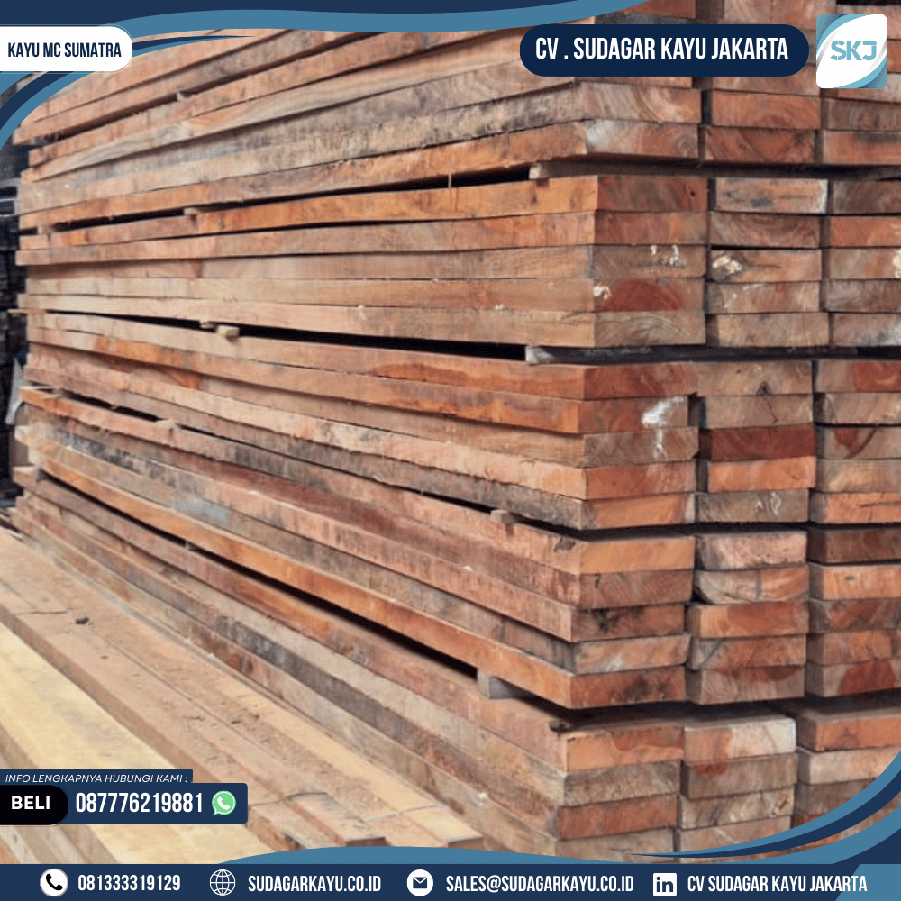 Kayu MC Sumatra - Gambar 8