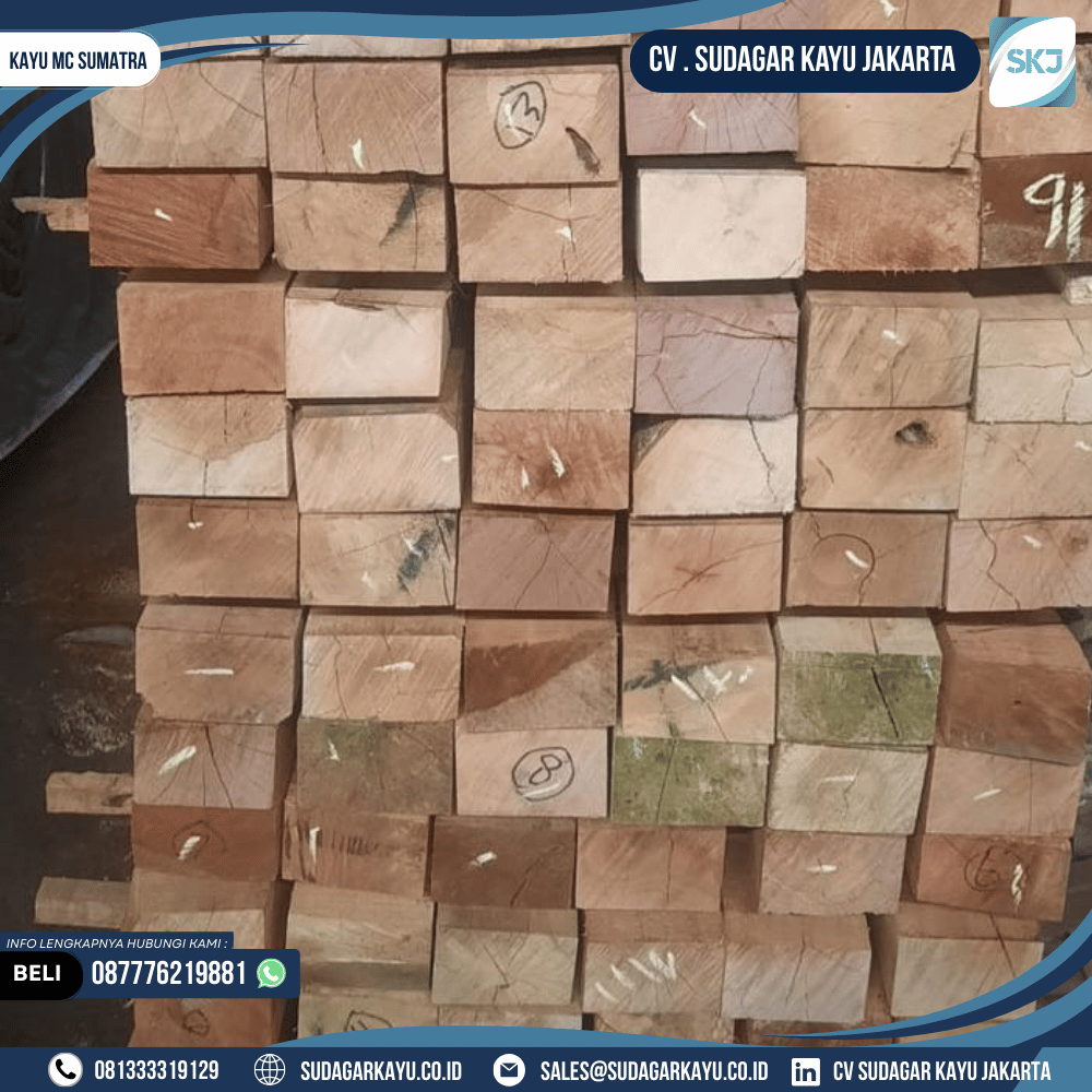 Kayu MC Sumatra - Gambar 7