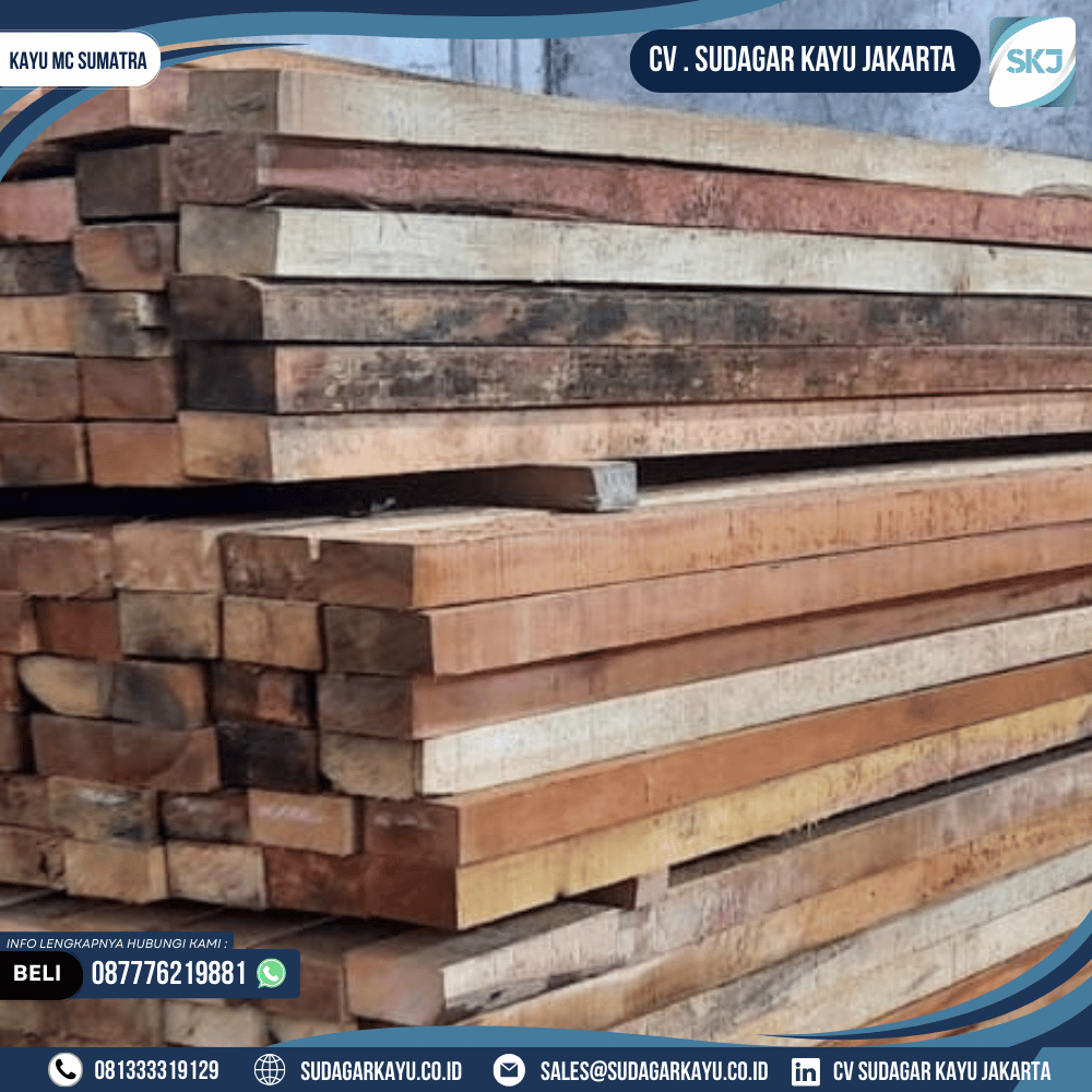 Kayu MC Sumatra - Gambar 6