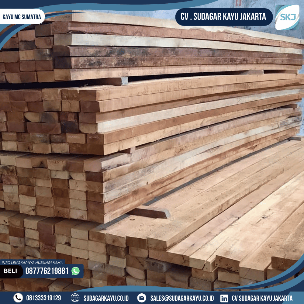 Kayu MC Sumatra - Gambar 5