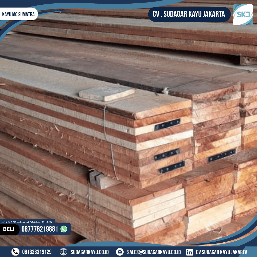 Kayu MC Sumatra - Gambar 4