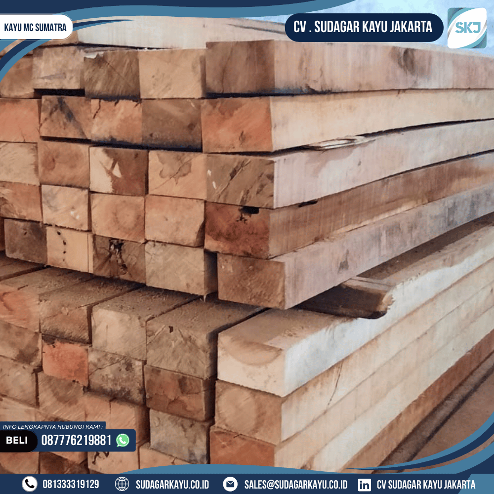Kayu MC Sumatra - Gambar 3