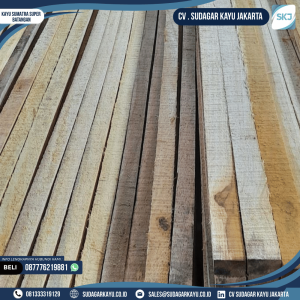 Kayu Sumatra super batangan